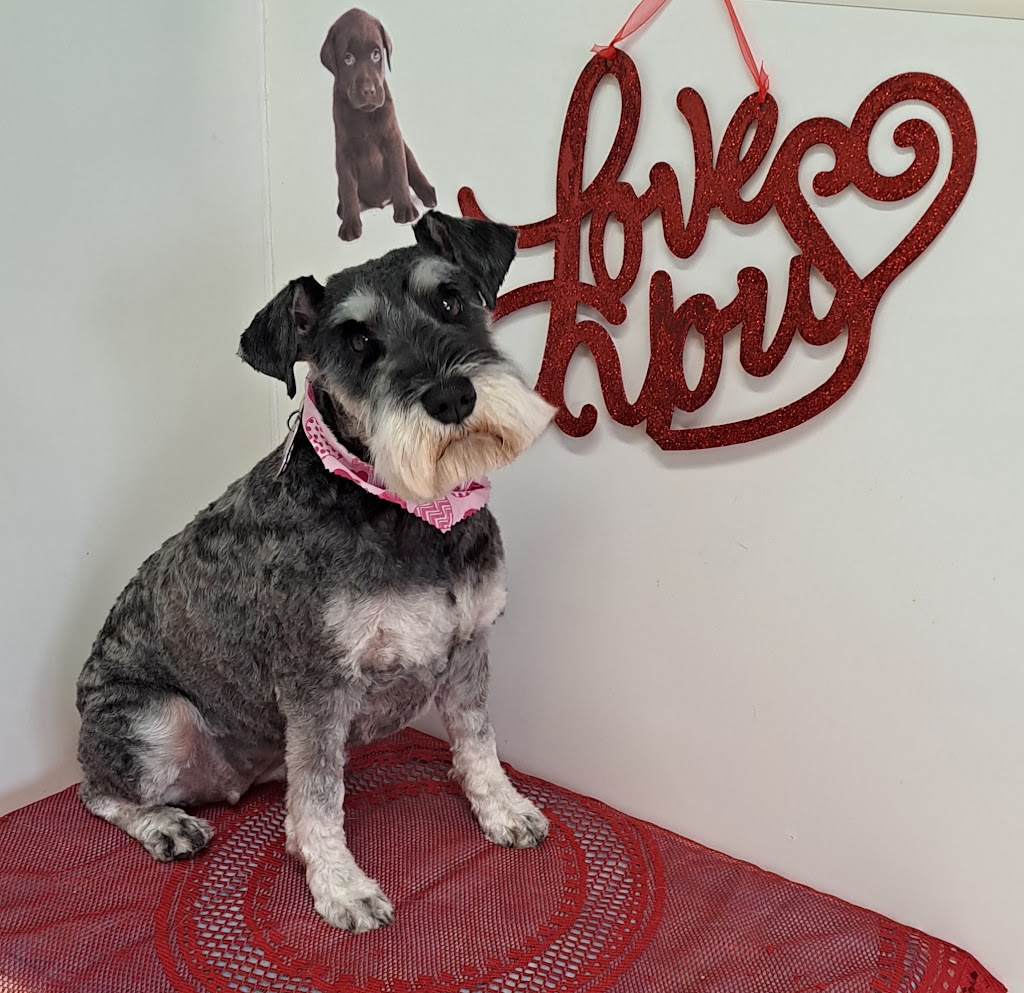 Annies Awesome Animals | 136 15 St, Fernie, BC V0B 1M0, Canada | Phone: (250) 423-4087