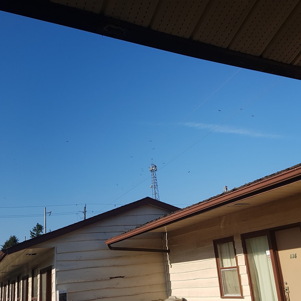 Pine Ridge Motel | 1607 Durham Regional Hwy 2, Courtice, ON L1E 2R7, Canada | Phone: (905) 436-2080