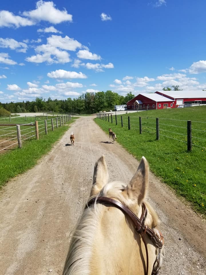 Levanna Lane Stables | 2622 30 Side Rd, Campbellville, ON L0P 1B0, Canada | Phone: (289) 772-7758