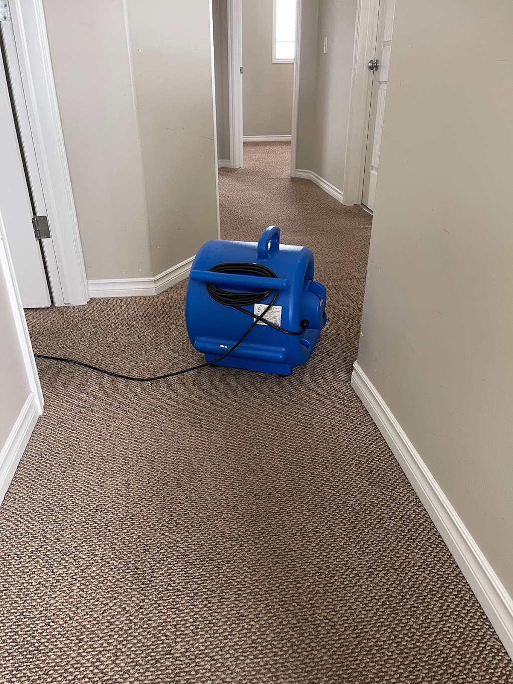 Carpet Plus Cleaning | 2229 Casey Cres SW, Edmonton, AB T6W 3M6, Canada | Phone: (780) 807-0908