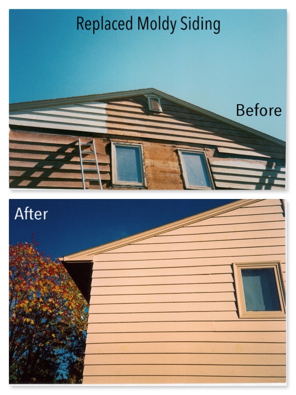 Mold Repair Calgary | 1101B Reader Crescent NE, Calgary, AB T2E 5J8, Canada | Phone: (403) 650-3829