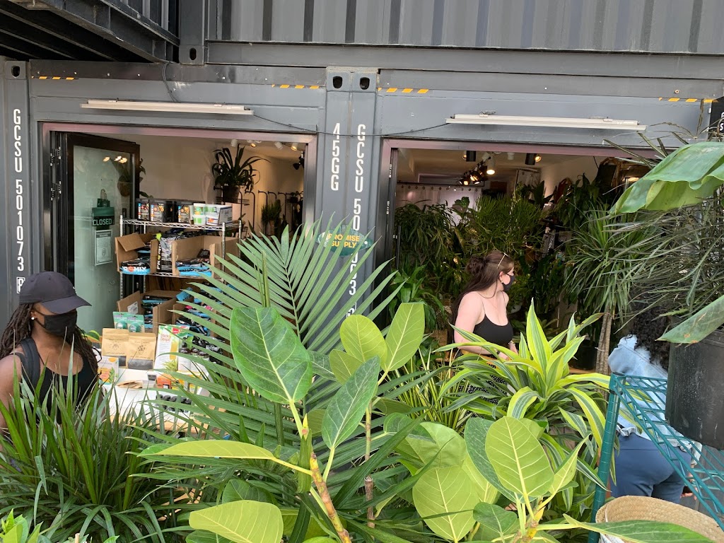 Promise Supply Plants at stackt | 28 Bathurst St, Toronto, ON M5V 0C6, Canada | Phone: (647) 957-8291