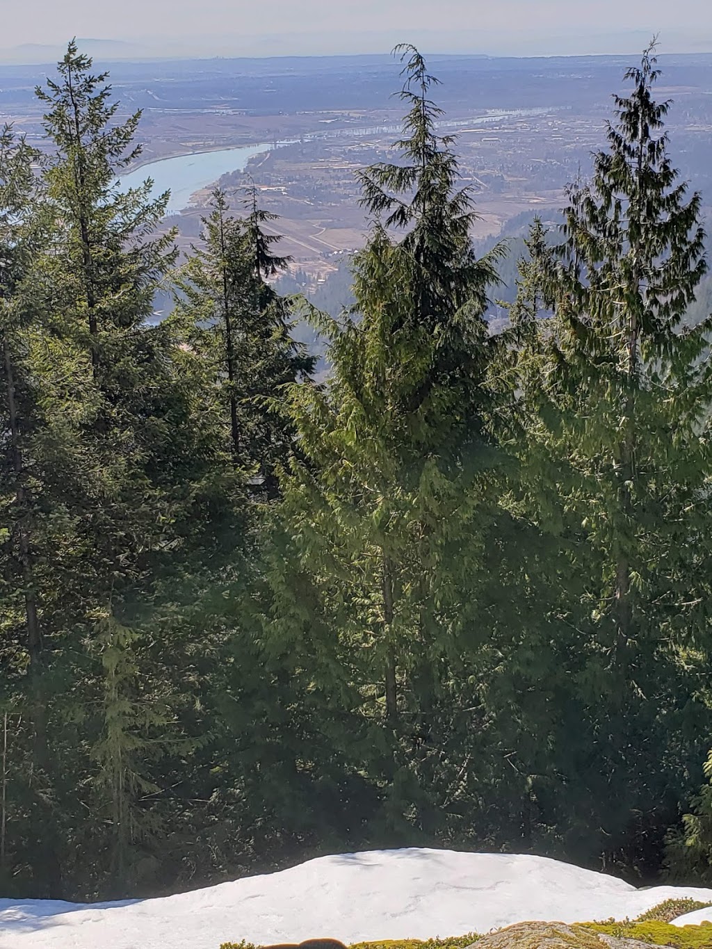 Munro Lake Trail | Munro, Lake Trail, Coquitlam, BC V3E 3H1, Canada