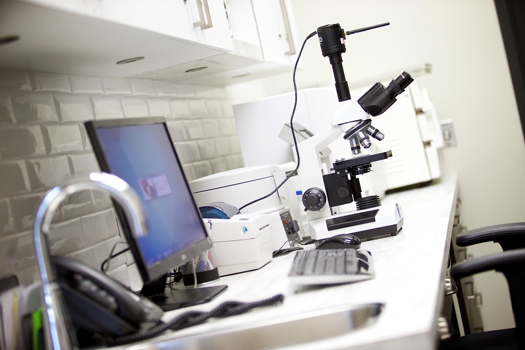 Hôpital Vétérinaire Passion Compassion | 650 Rue de Montbrun #106, Boucherville, QC J4B 8G9, Canada | Phone: (450) 906-6090