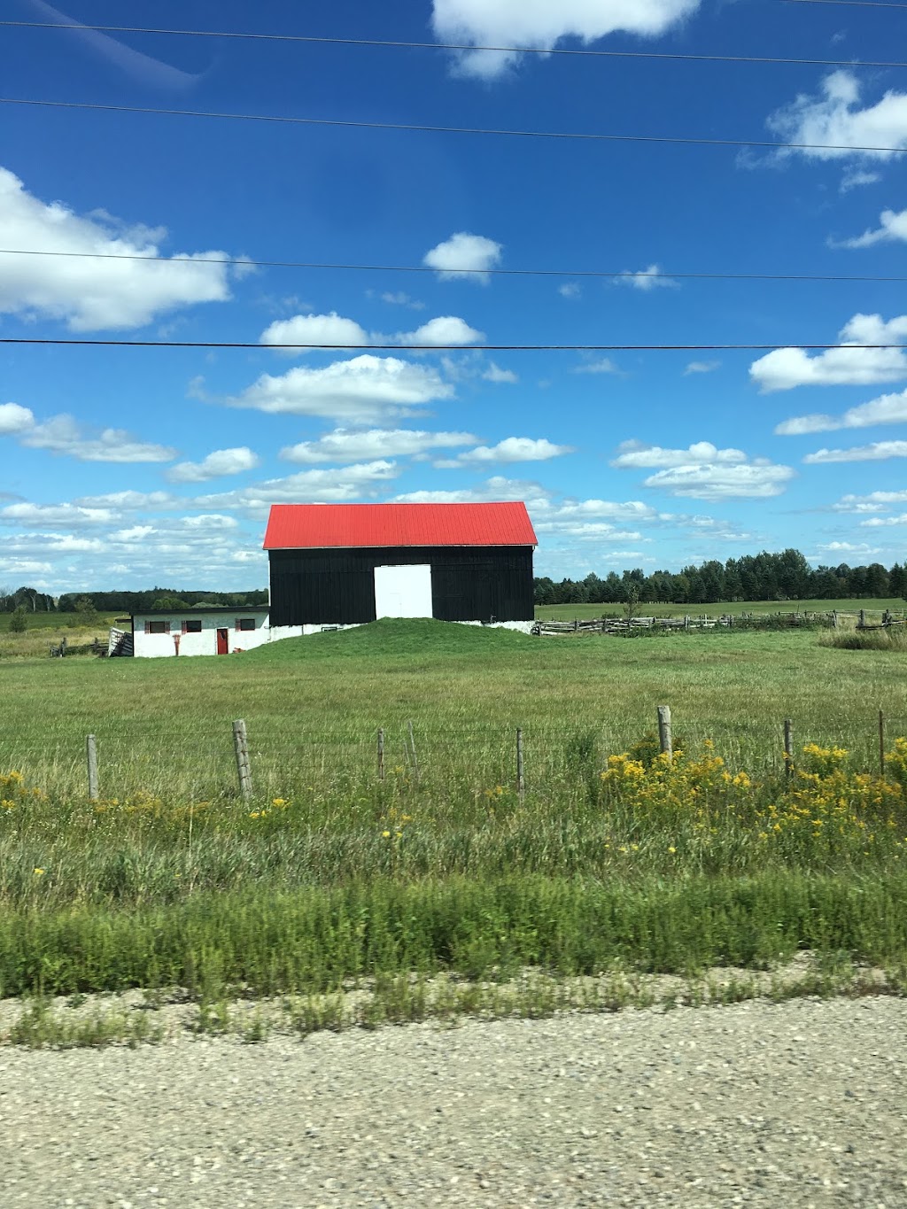 Trish Duncan | Royal LePage Locations North, Brokerage, 27 Arthur St W, Thornbury, ON N0H 2P0, Canada | Phone: (705) 539-0241