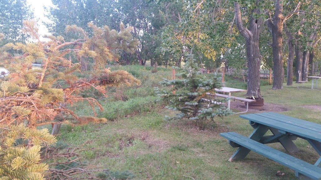 Braconnier Dam Campground | Braconnier Reservoir, Kneehill County, AB T0M 2A0, Canada | Phone: (403) 443-5541