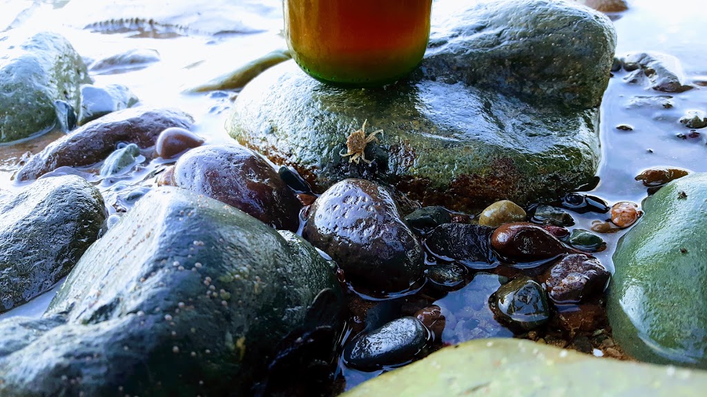 Seaside Campground | 234 Main St, St. Martins, NB E5R 1B8, Canada | Phone: (506) 833-4413
