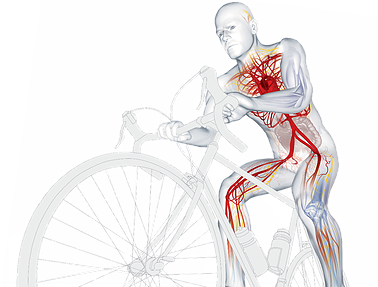AIM Wellness | 5011 Springs Blvd Unit #107, Tsawwassen, BC V4M 0B6, Canada | Phone: (604) 365-2200
