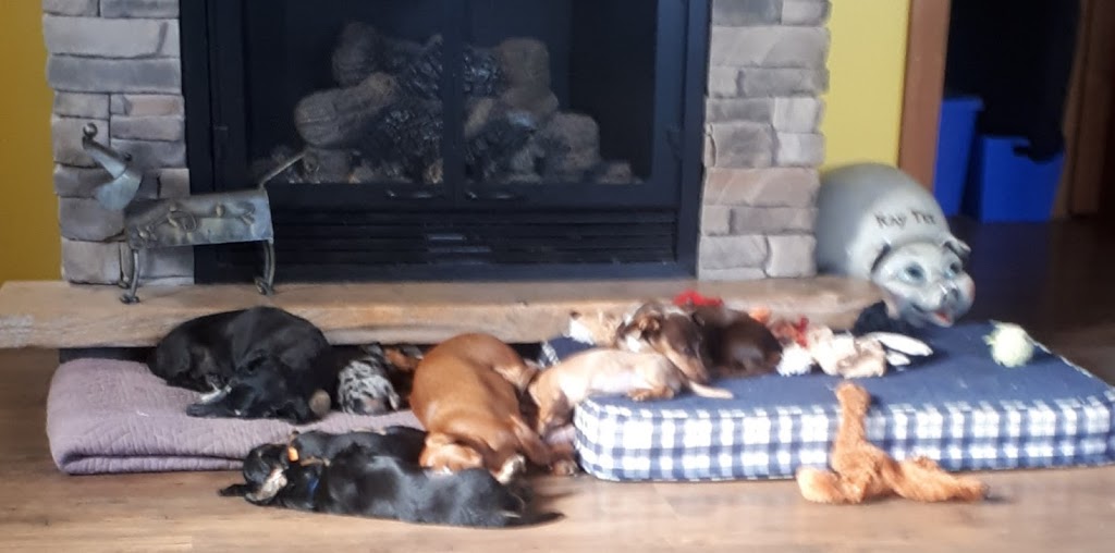 Over the Hill Farm | 1251 Crookston Rd, Madoc, ON K0K 2K0, Canada | Phone: (613) 847-0532