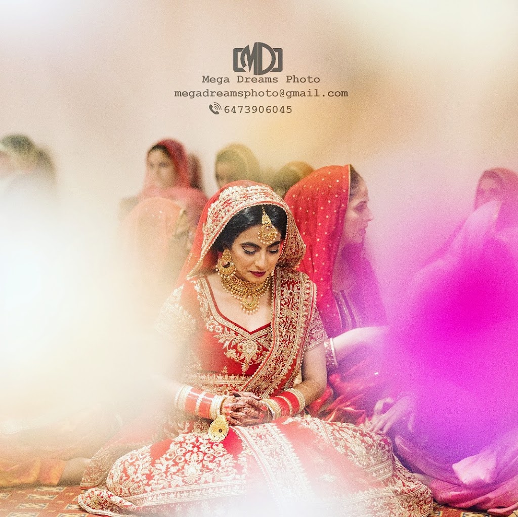 Mega Dreams Photo | 17 Bilanski Farm Rd, Brantford, ON N3S 0J8, Canada | Phone: (647) 390-6045
