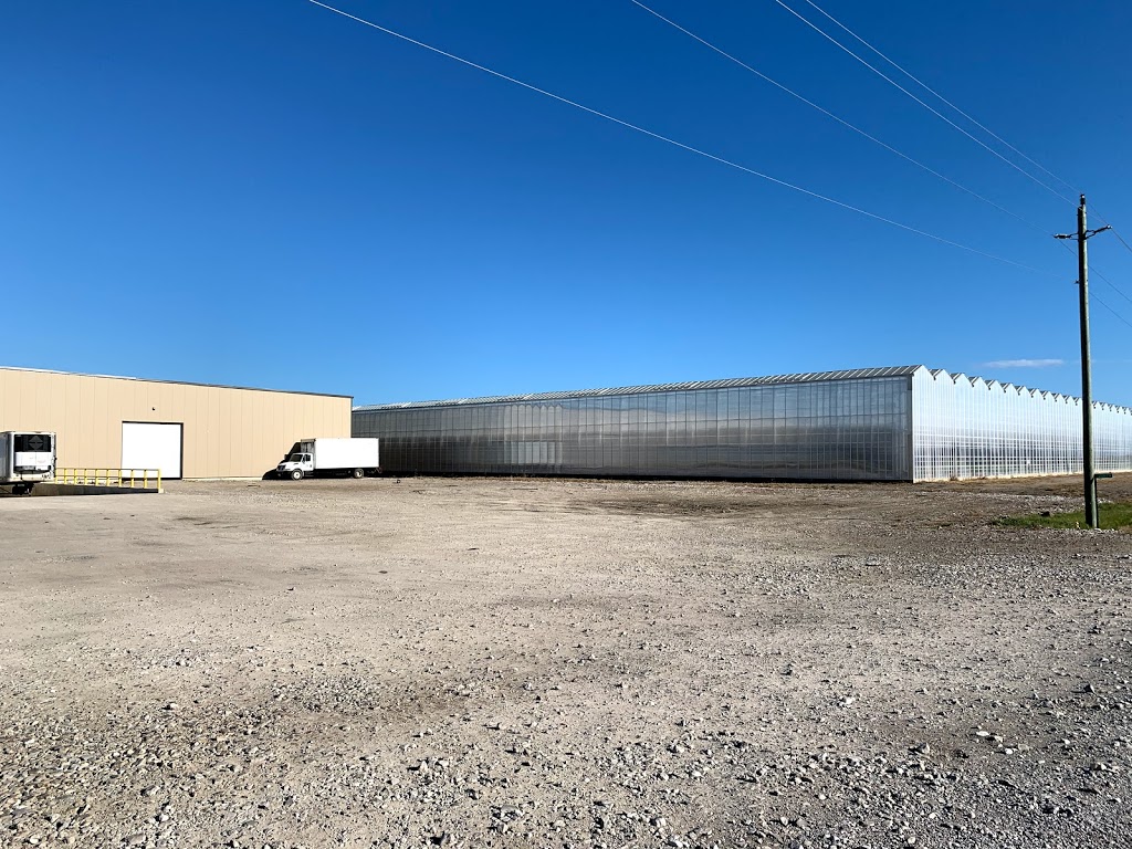 Hacienda North Farms | 21038-20730 Coatsworth Rd, Coatsworth, ON N0P 1H0, Canada | Phone: (519) 800-5062
