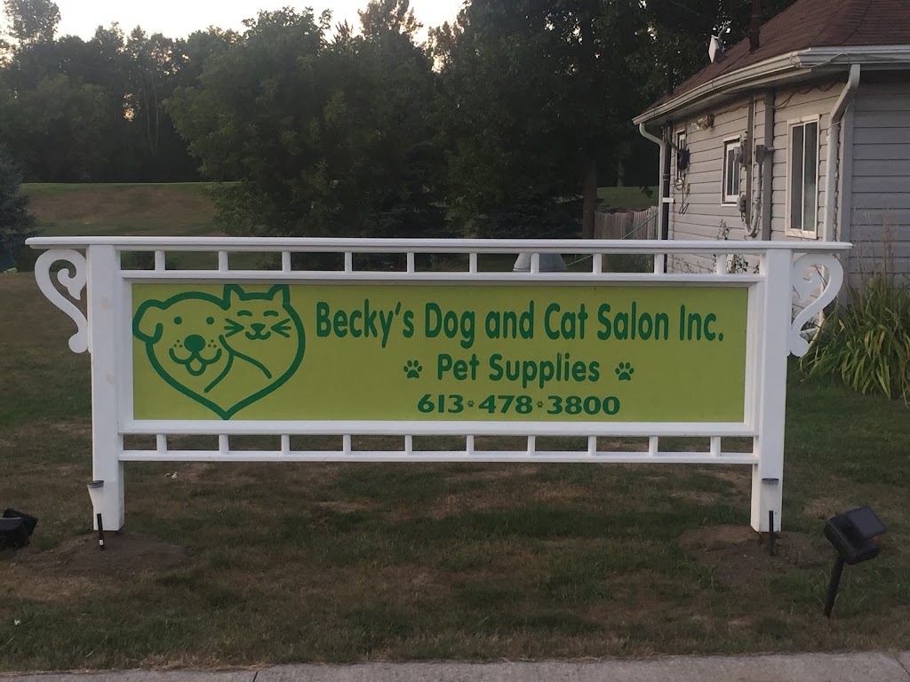 Beckys Dog and Cat Salon Inc. | 34 Stoco Rd, Tweed, ON K0K 3J0, Canada | Phone: (613) 478-3800