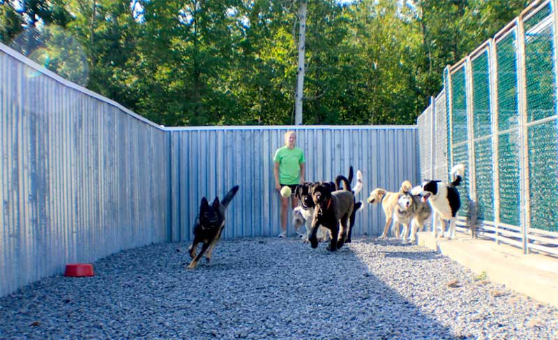 Beds for Tails Country Kennels | 6363 Bank St, Greely, ON K4P 1J3, Canada | Phone: (613) 821-3894