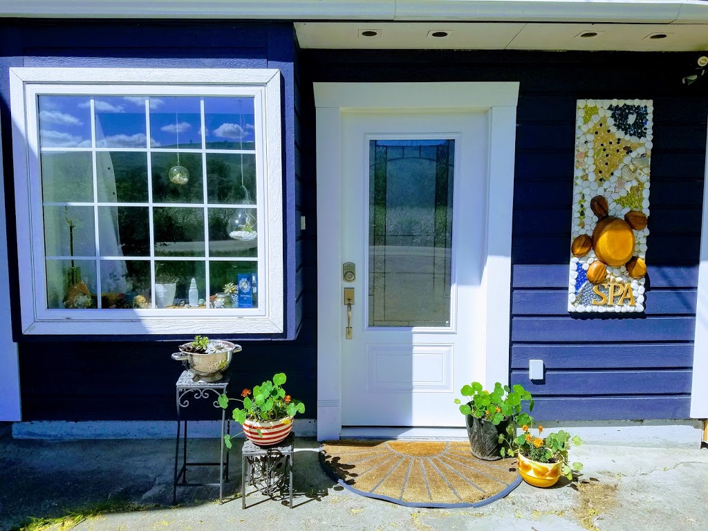 Blue Turtle Spa | 10910 Bottom Wood Lake Rd, Lake Country, BC V4V 1V8, Canada | Phone: (778) 257-6340