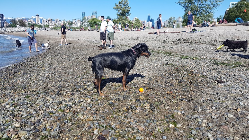 Hadden Park Dog Beach | 1000 Chestnut St, Vancouver, BC V6J 3J9, Canada