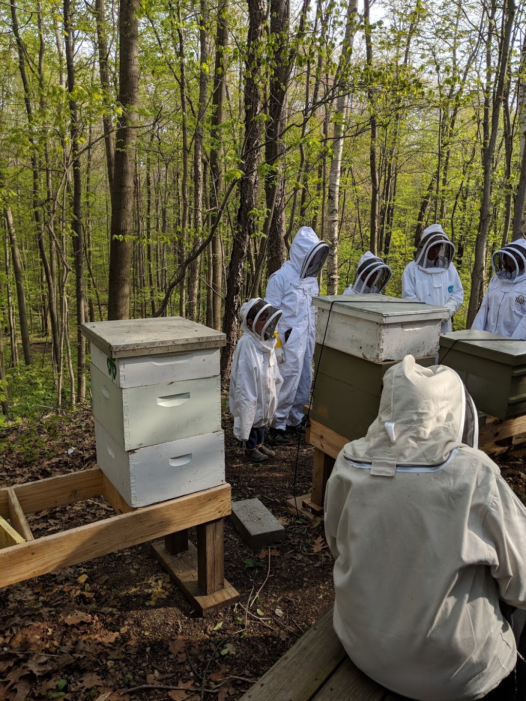 Pine River Nature Center | 2585 Castor Rd, Goodells, MI 48027, USA | Phone: (810) 364-5477