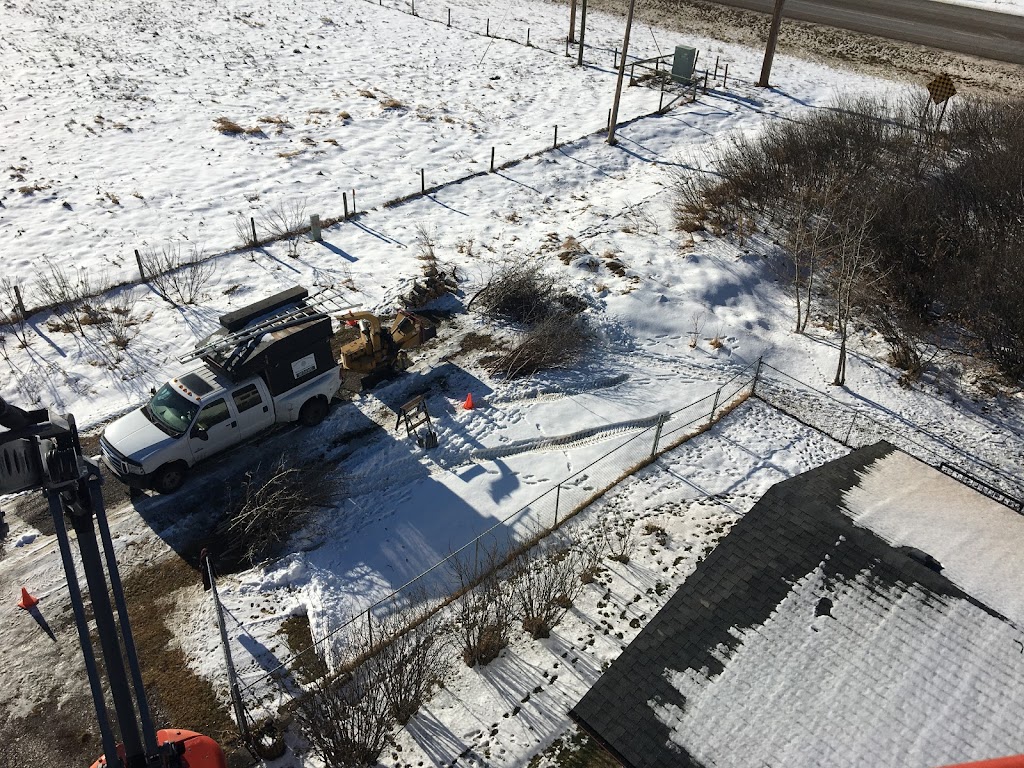 Bordernorth Tree Services & Construction | 224028 Priddis Ridge Rd W, Priddis, AB T0L 1W1, Canada | Phone: (587) 216-8372