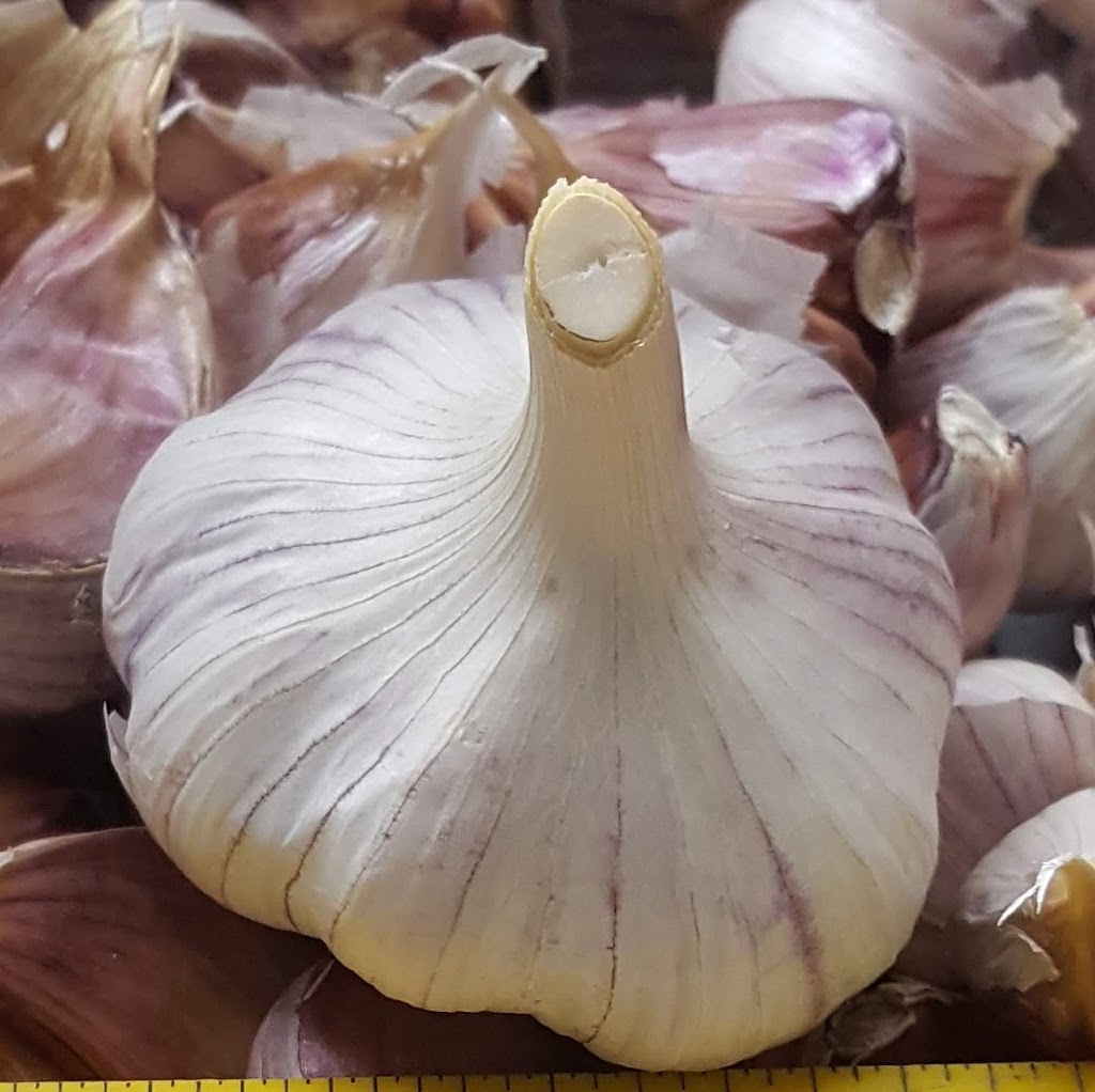 Durant Gourmet Garlic | 7272 L & a Rd, Vernon, BC V1B 3S8, Canada