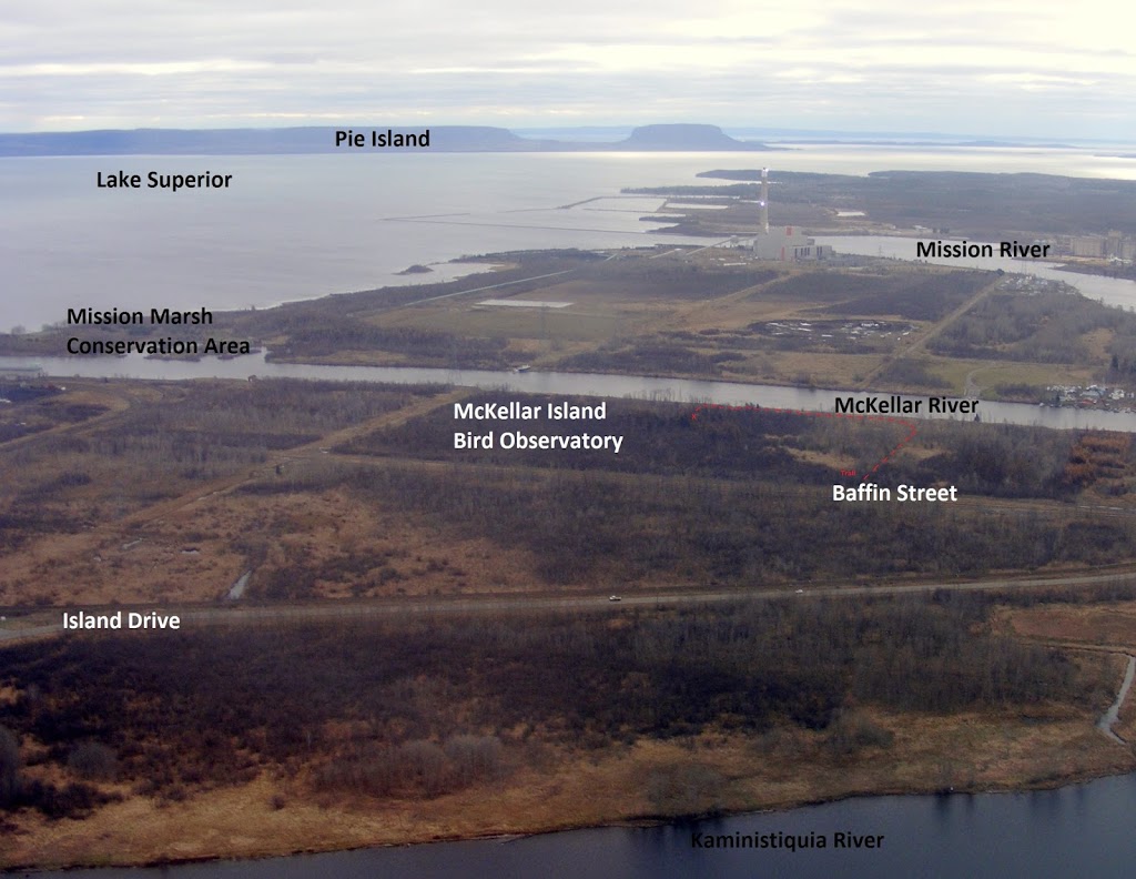 McKellar Island Bird Observatory | Baffin St, Thunder Bay, ON P7E 0A3, Canada | Phone: (807) 709-6870
