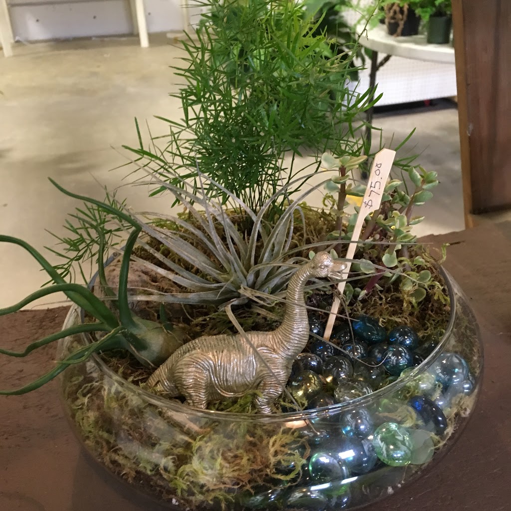 The Wheelbarrow Gardener | 6 Renault Crescent unit #220, St. Albert, AB T8N 4B8, Canada | Phone: (780) 458-0785