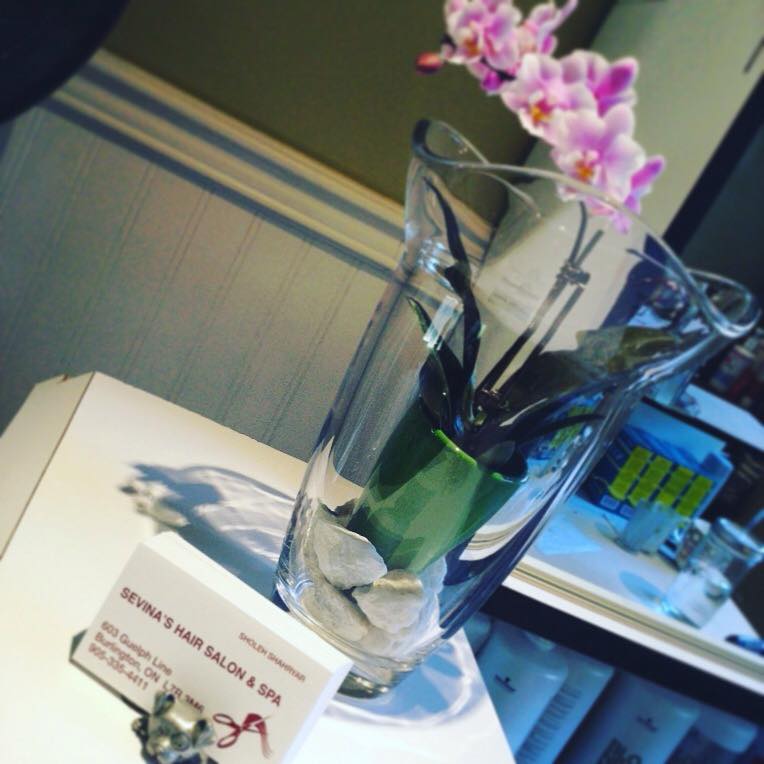 Sevinas Hair Salon & Spa | 603 Guelph Line, Burlington, ON L7R 3M6, Canada | Phone: (905) 335-4411