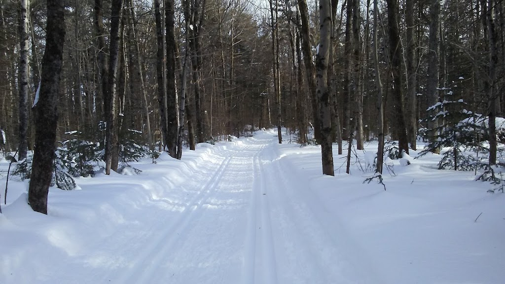 Boischatel Sports Center | 160 Rue des Grès, Boischatel, QC G0A 1H0, Canada | Phone: (418) 822-4501