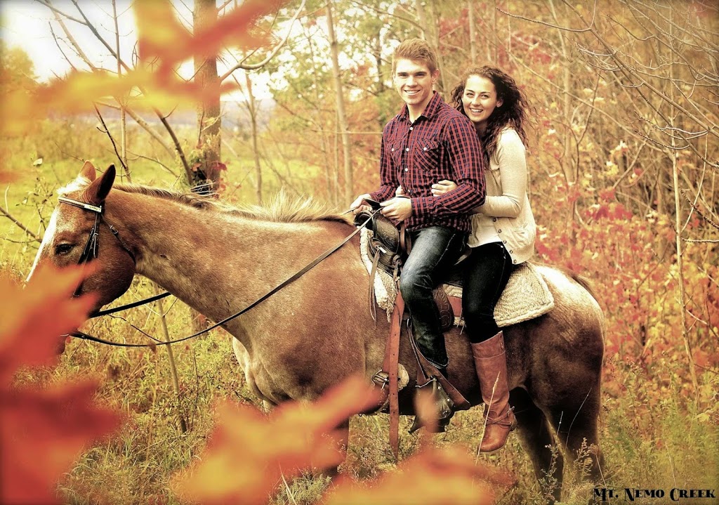 Mt. Nemo Creek Farm & Photography | 5565 Guelph Line, Burlington, ON L0P 0A5, Canada | Phone: (905) 320-2606