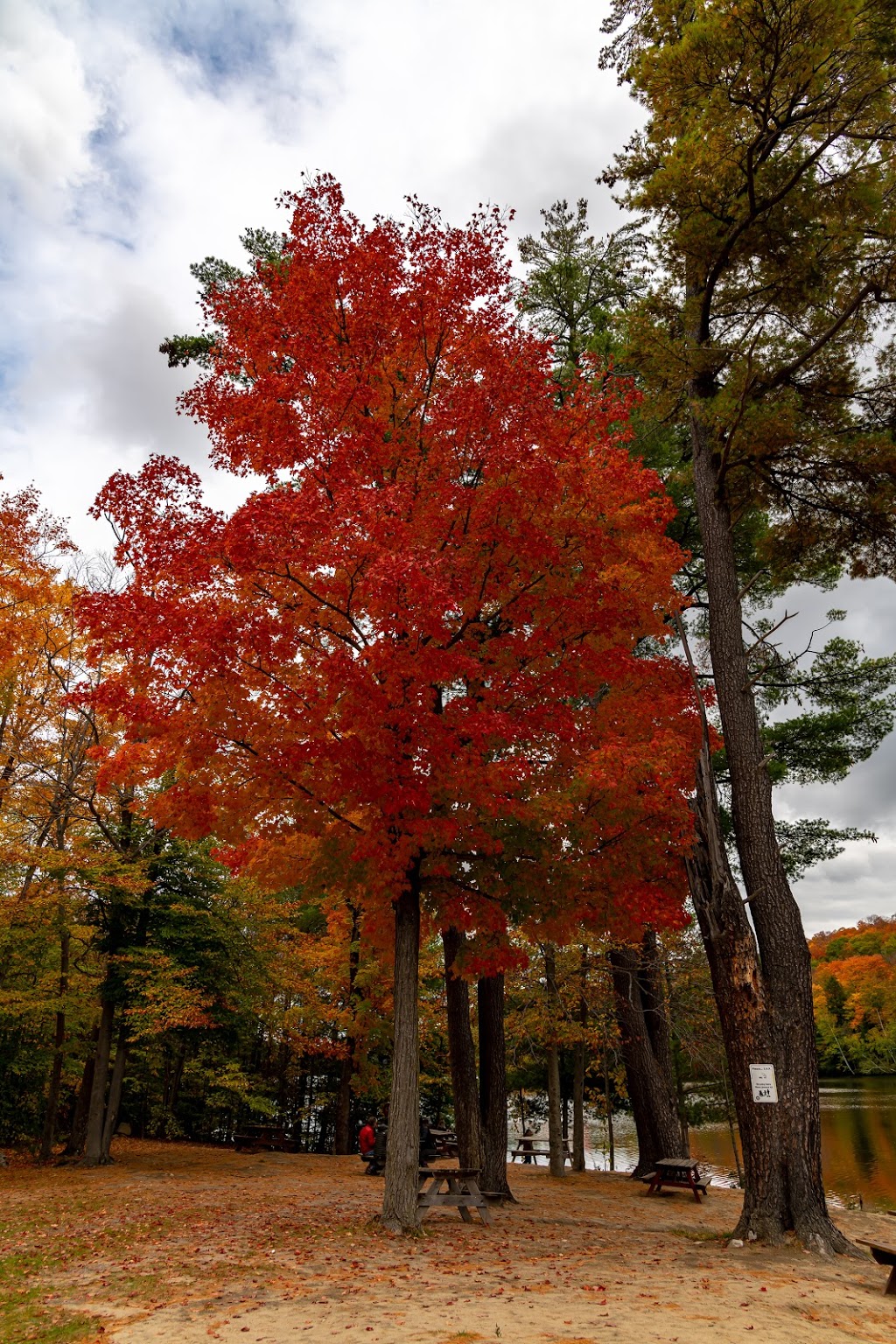 Burnstown Beach | Burnstown Beach, 1537 Calabogie Rd, Renfrew, ON K7V 3Z4, Canada | Phone: (613) 623-5756