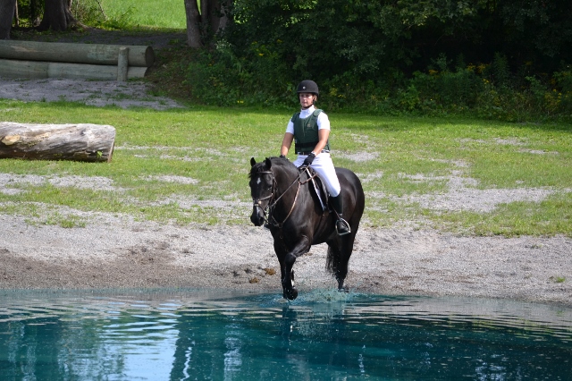 Sunnymead Farm | 1060 Frank Hill Rd, Omemee, ON K0L 2W0, Canada | Phone: (705) 760-5741