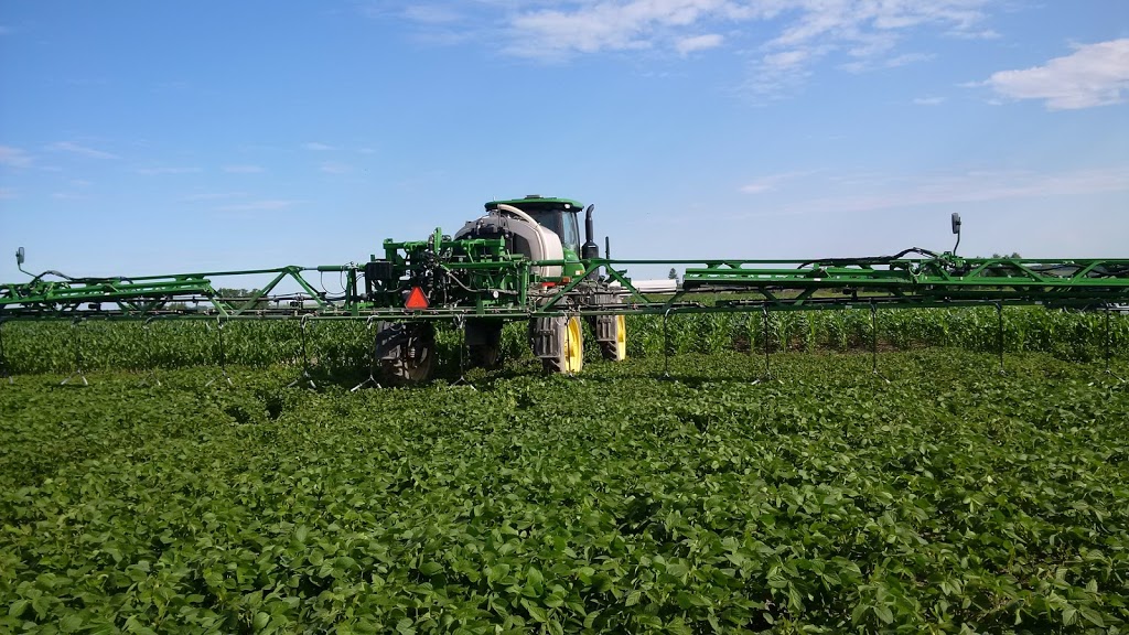 Clean Field Services Inc | 7668 8 Line RR 2, Drayton, ON N0G 1P0, Canada | Phone: (519) 638-3457