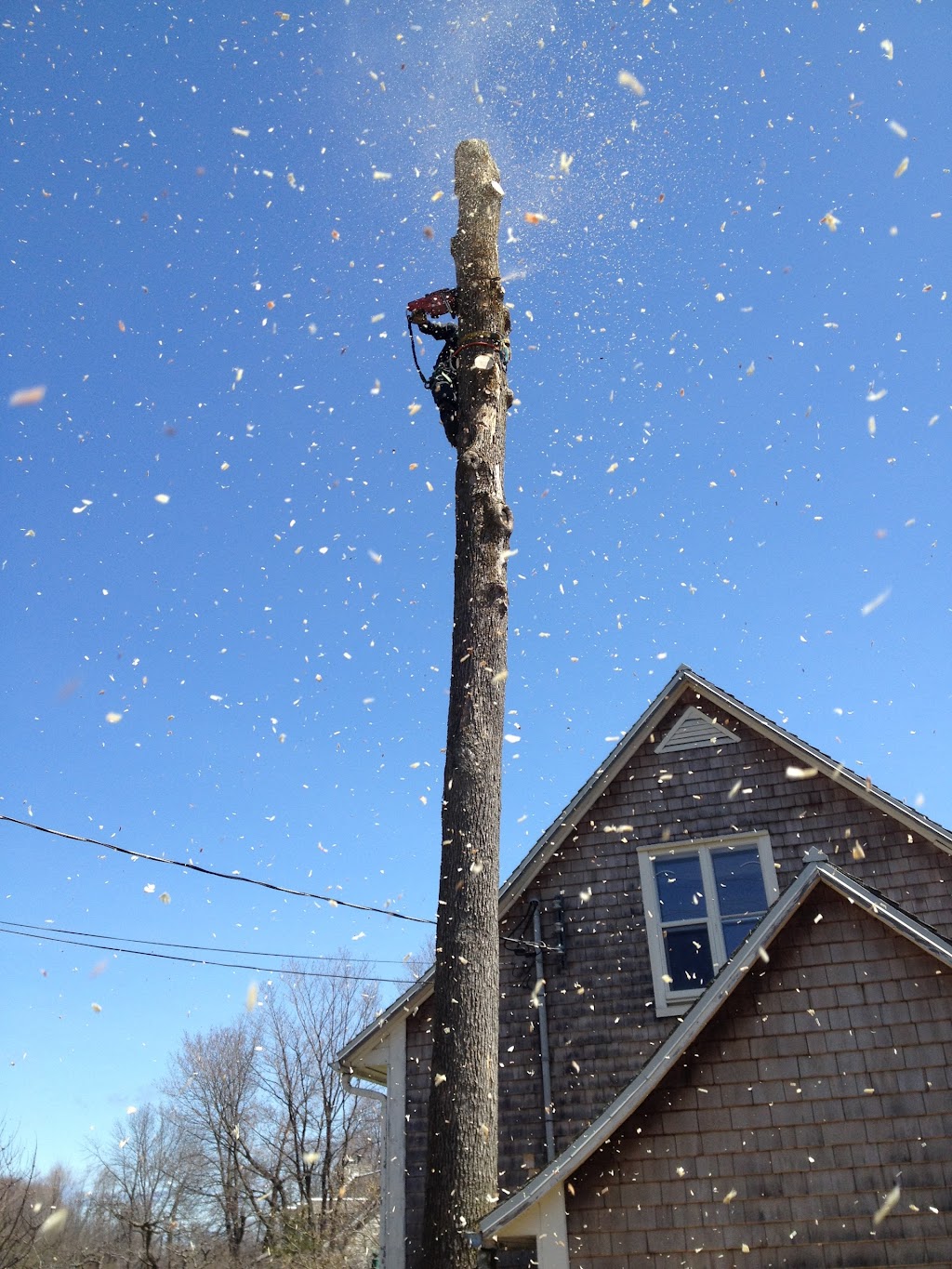 Arboriculture Thibault Inc. | 2994 Rte de lAéroport, Québec, QC G3K 1B3, Canada | Phone: (418) 657-0862