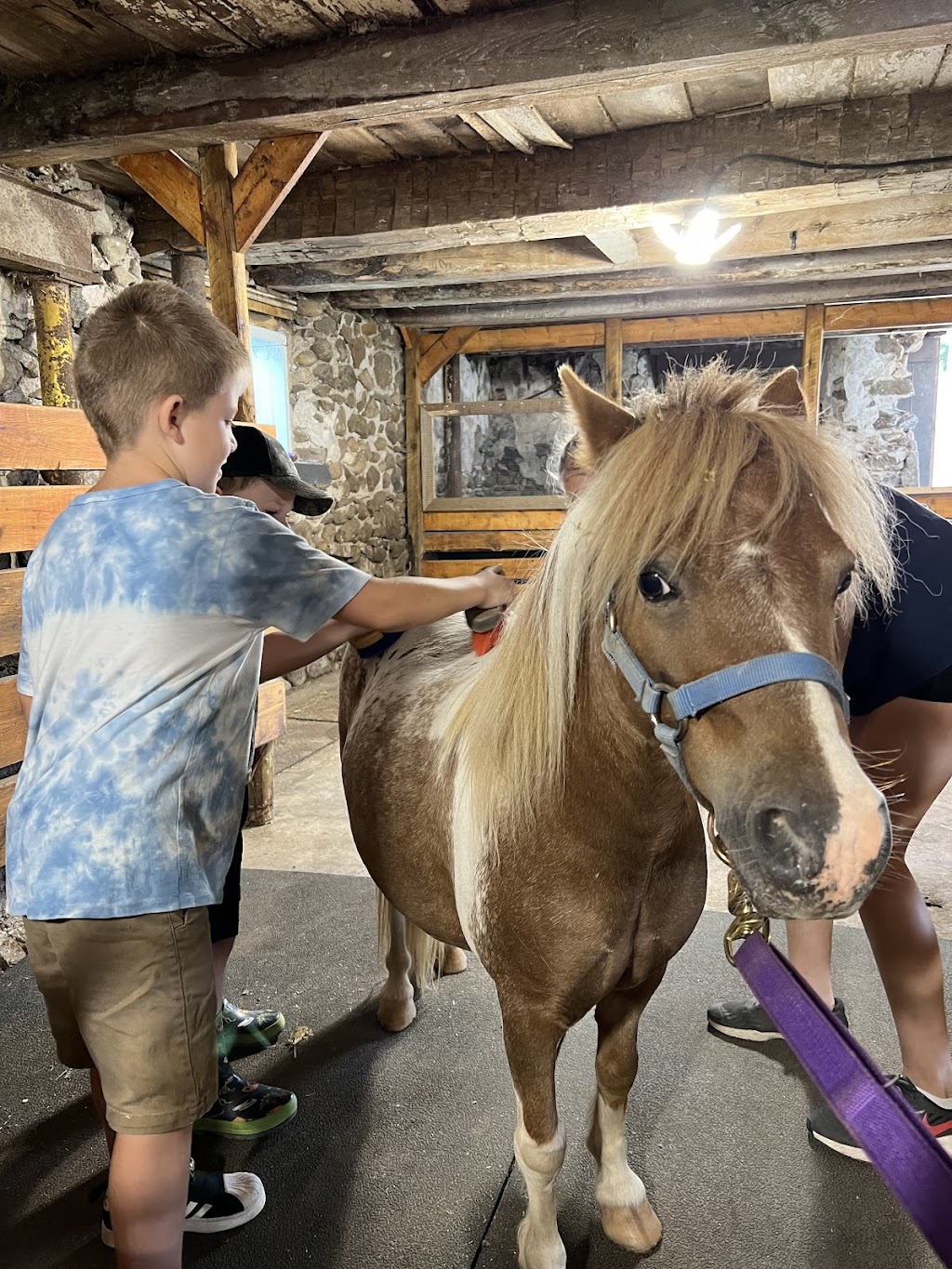 Peaceful Place Equestrian & Wellness Facility Inc. | 687399 Oxford 2, Princeton, ON N0J 1V0, Canada | Phone: (226) 388-4225