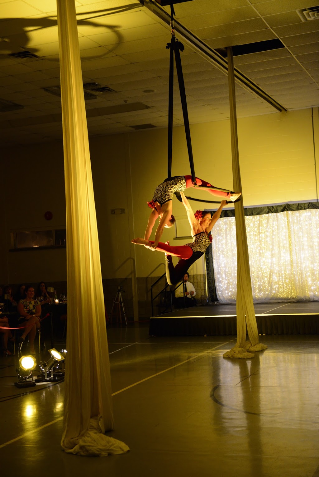 Collingwood Circus Club | 95 Sandford Fleming Dr, Collingwood, ON L9Y 5A6, Canada | Phone: (705) 444-9675