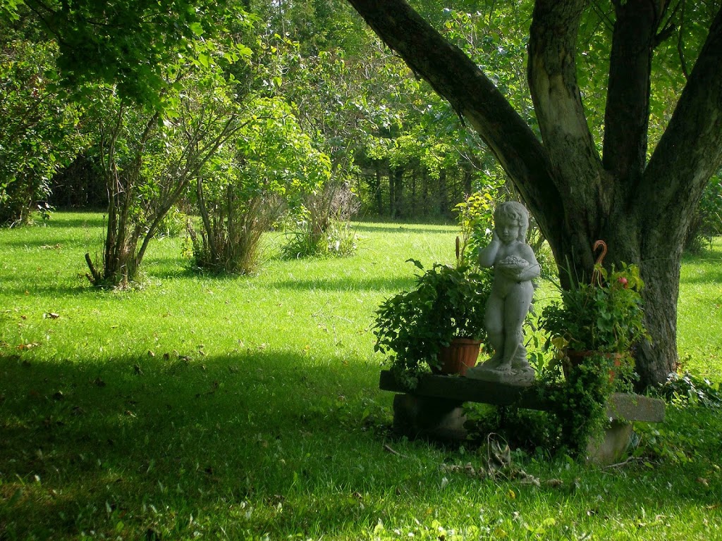 A Valley View Bed and Breakfast | 2 R.R., Granton, ON N0M 1V0, Canada | Phone: (519) 225-2685
