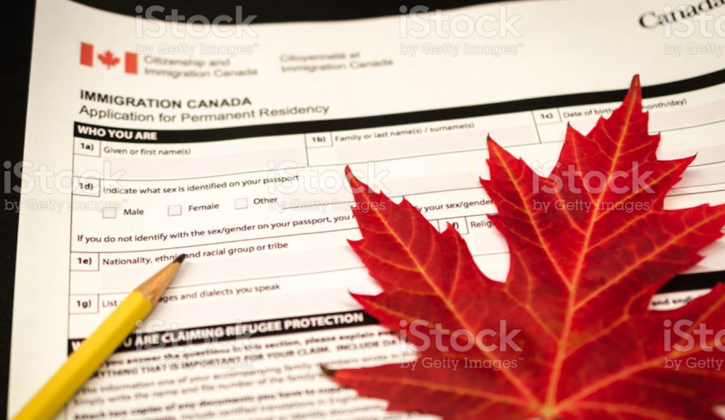 Solo Immigration Agency | 1453 Oxford St E, London, ON N5V 1W4, Canada | Phone: (519) 280-9612