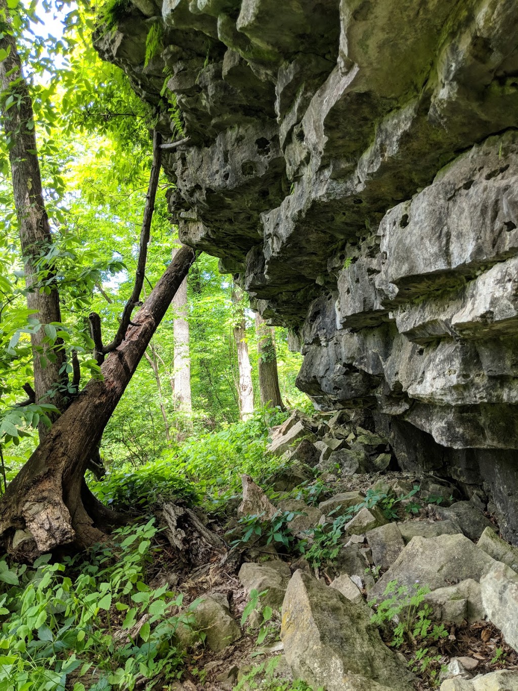 Quarry Ridge | 3778 Quarry Rd, Beamsville, ON L0R 1B2, Canada | Phone: (905) 563-8370