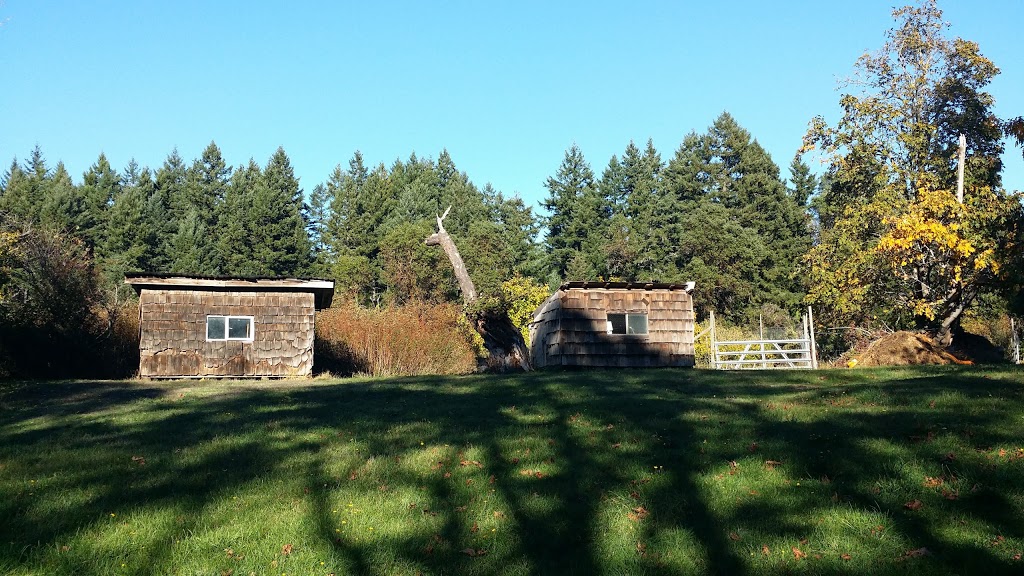 Judy Weeden Studio | 125 Primrose Ln, Salt Spring Island, BC V8K 1C1, Canada | Phone: (250) 537-5403