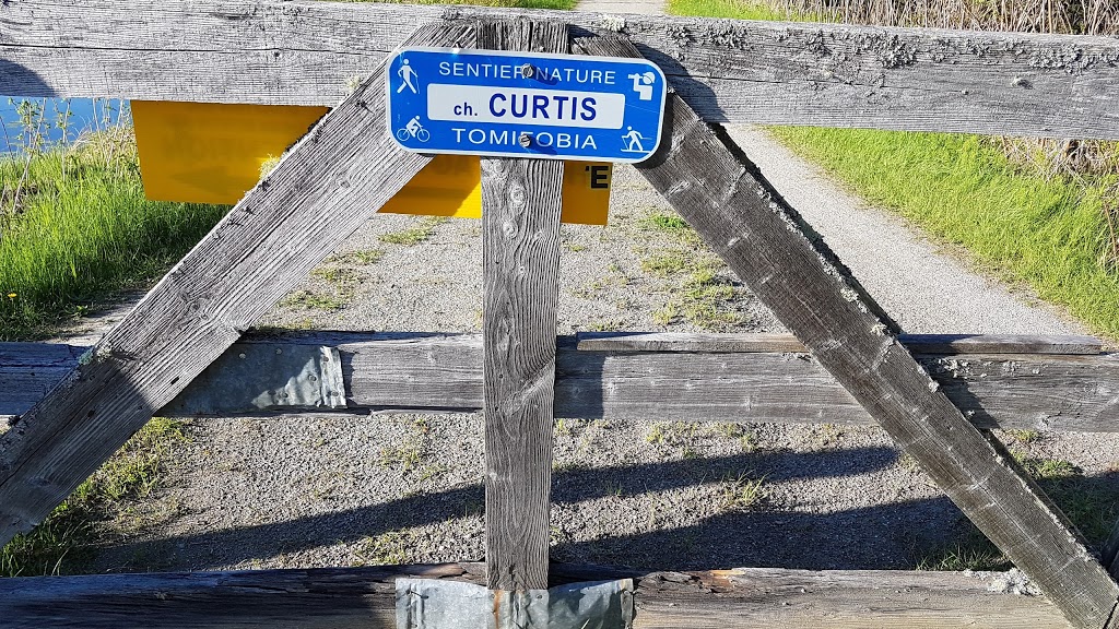 Étang Curtis Ayers Cliff | 450539 Oxford County Rd 6, Embro, ON N0J 1J0, Canada