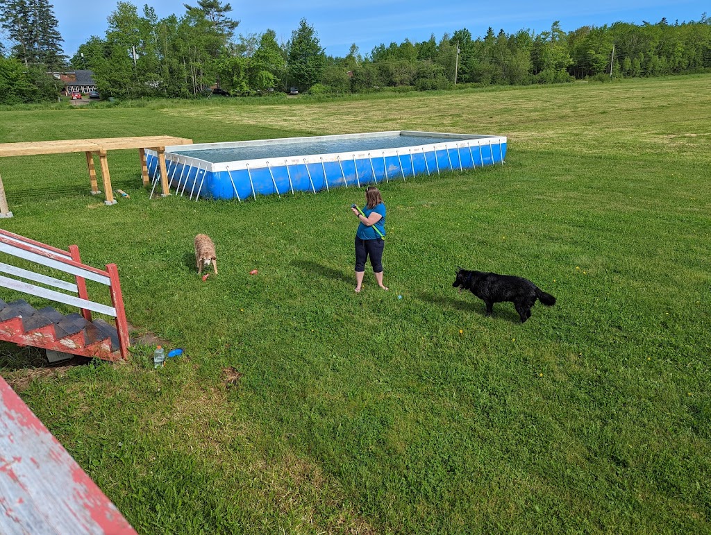 Aqua Terra Kennels | 50 Ridge Rd, Upper Stewiacke, NS B0N 2P0, Canada | Phone: (902) 671-2265
