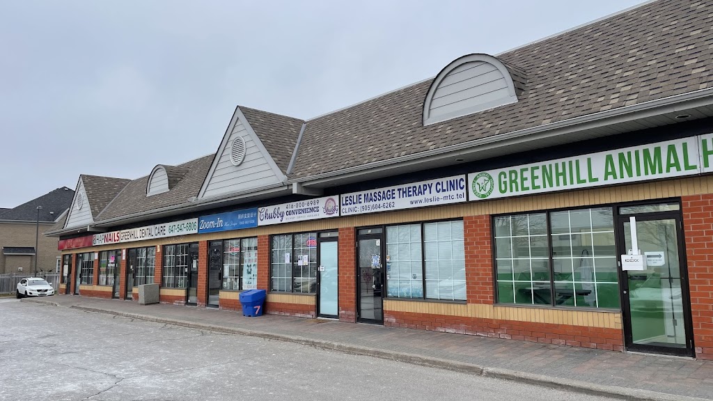 Chubby Convenience | 9688 Leslie St Unit 12, Richmond Hill, ON L4B 4C4, Canada | Phone: (647) 822-8388