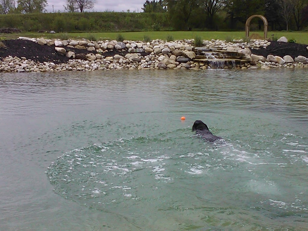 Tranquil Escapes Ponds & Watergardens | 244 Middletown Rd, Hamilton, ON L9H 5E1, Canada | Phone: (647) 225-7959