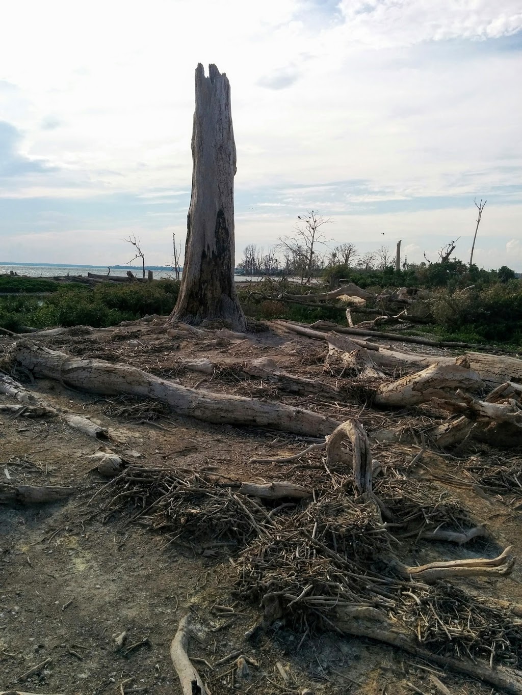 "East" Brothers Islands | Odessa, ON K0H 2H0, Canada