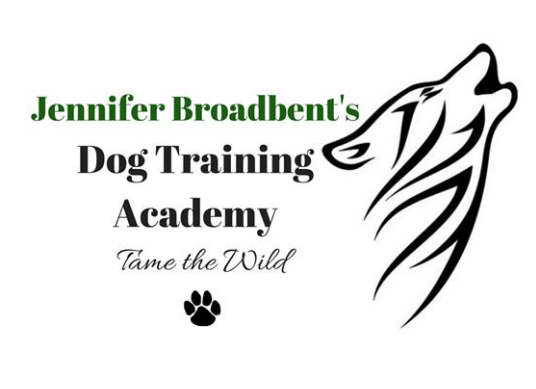 Jennifer Broadbents Dog Training Academy | The Den Doggy Daycare, 5325 Harvester Rd, Burlington, ON L7L 5K4, Canada | Phone: (905) 869-2275