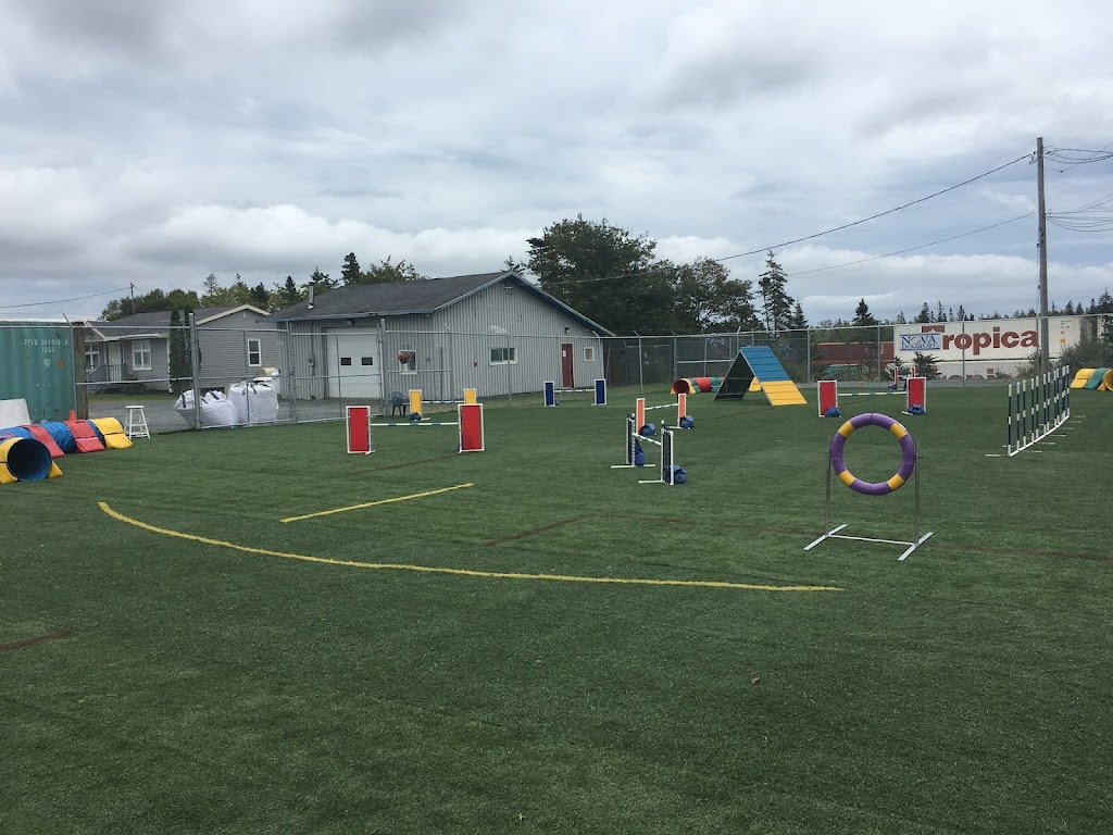Nova Dogsport | 31 Weavers Lake Dr, Harrietsfield, NS B3V 1A4, Canada | Phone: (902) 402-4127