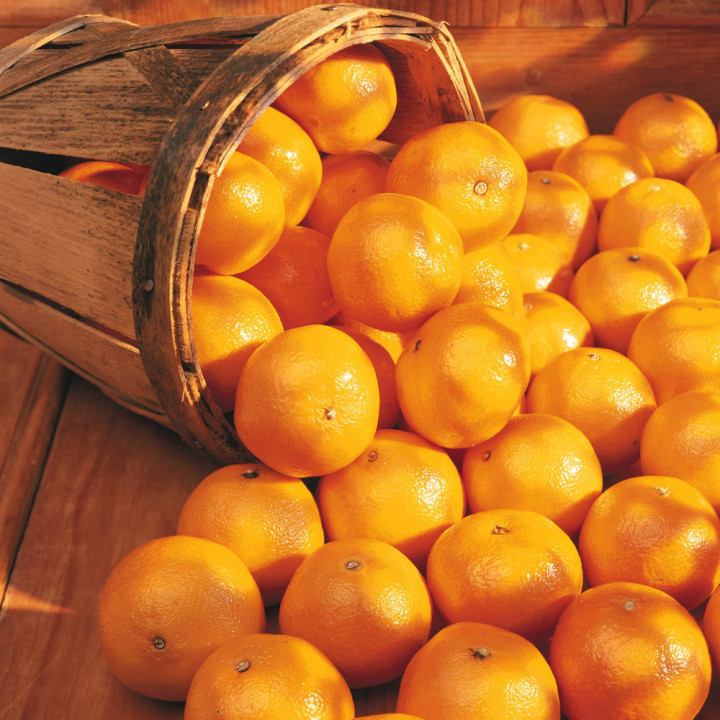 Loblaws | 2375 Durham Regional Hwy 2, Bowmanville, ON L1C 5A3, Canada | Phone: (905) 623-2600