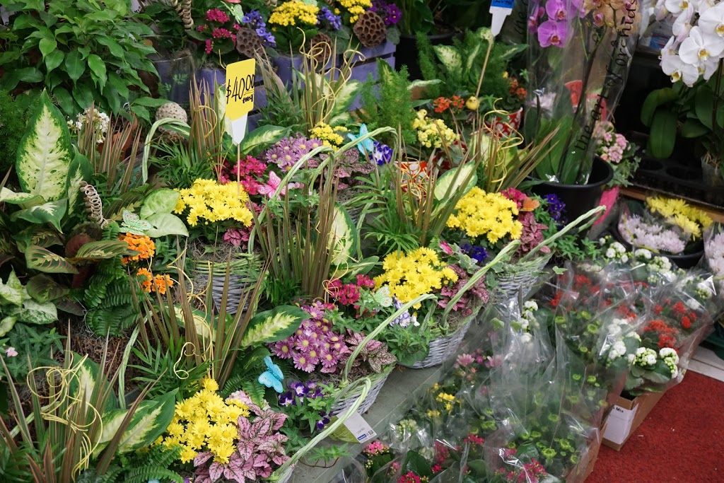 St Clair Flowers | 2781 St Clair Ave E, East York, ON M4B 1N1, Canada | Phone: (647) 348-3389