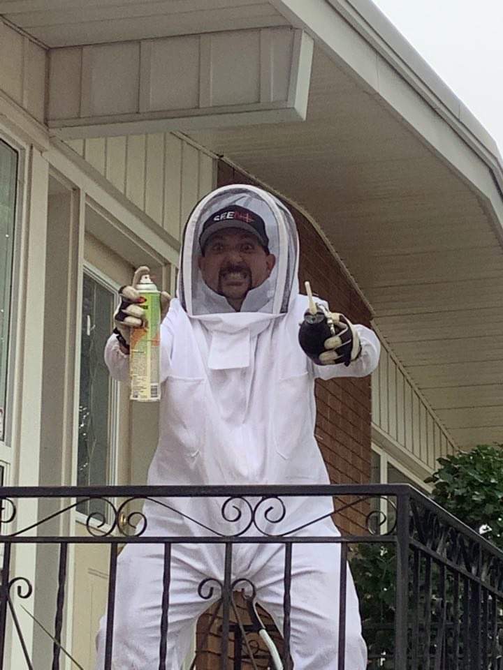 SeeNo Pest Control | 250 Inverness Ave E, Hamilton, ON L9A 1H2, Canada | Phone: (905) 719-1834
