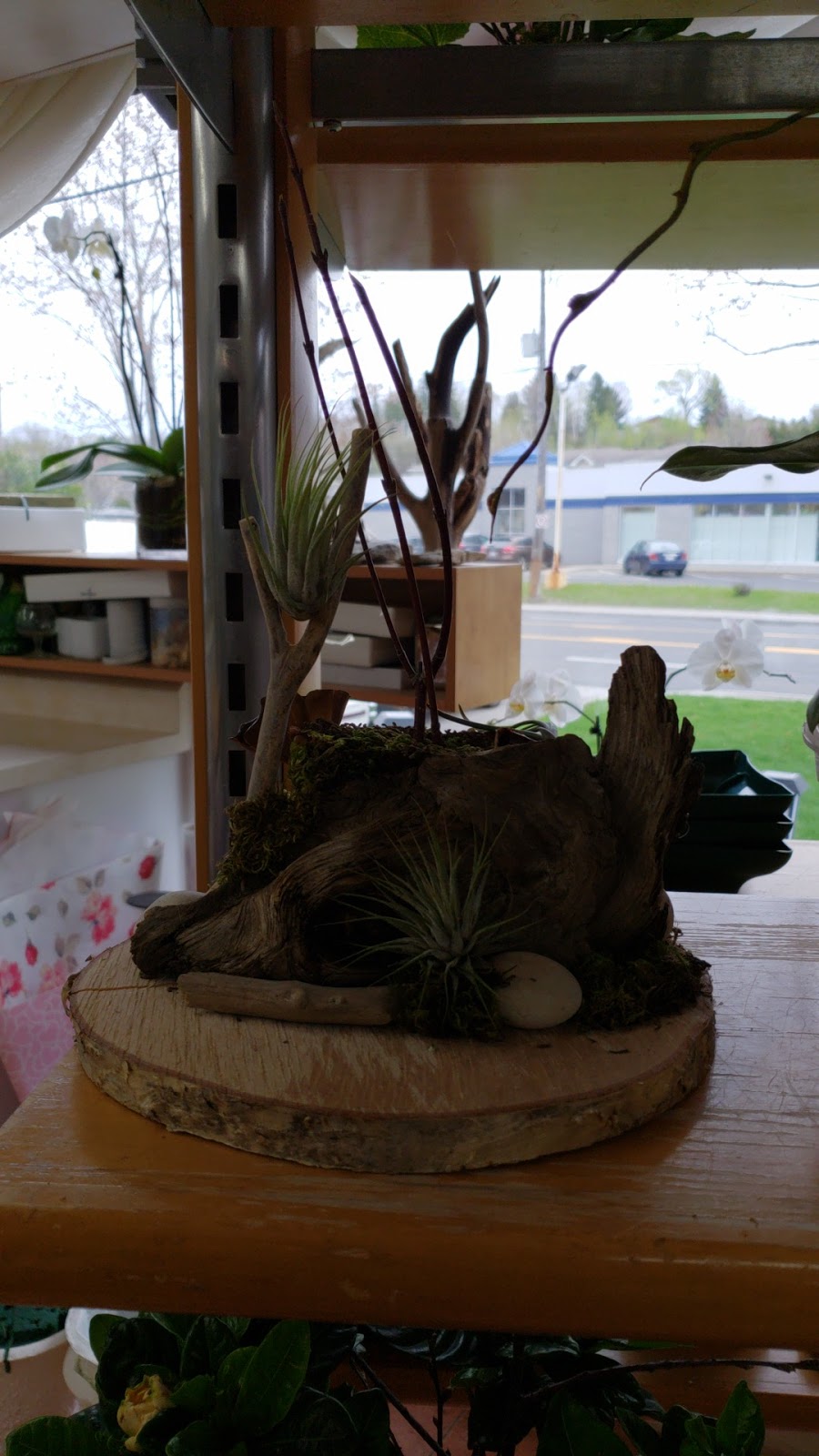 Fleuriste Daluka | 2259 Boulevard Guillaume-Couture, Saint-Romuald, QC G6W 2S2, Canada | Phone: (418) 834-6661