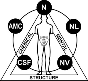 Dr Maxime Lavoie, chiropraticien | 1133 Bd Saint-Joseph E, Montréal, QC H2J 1L3, Canada | Phone: (514) 377-7705