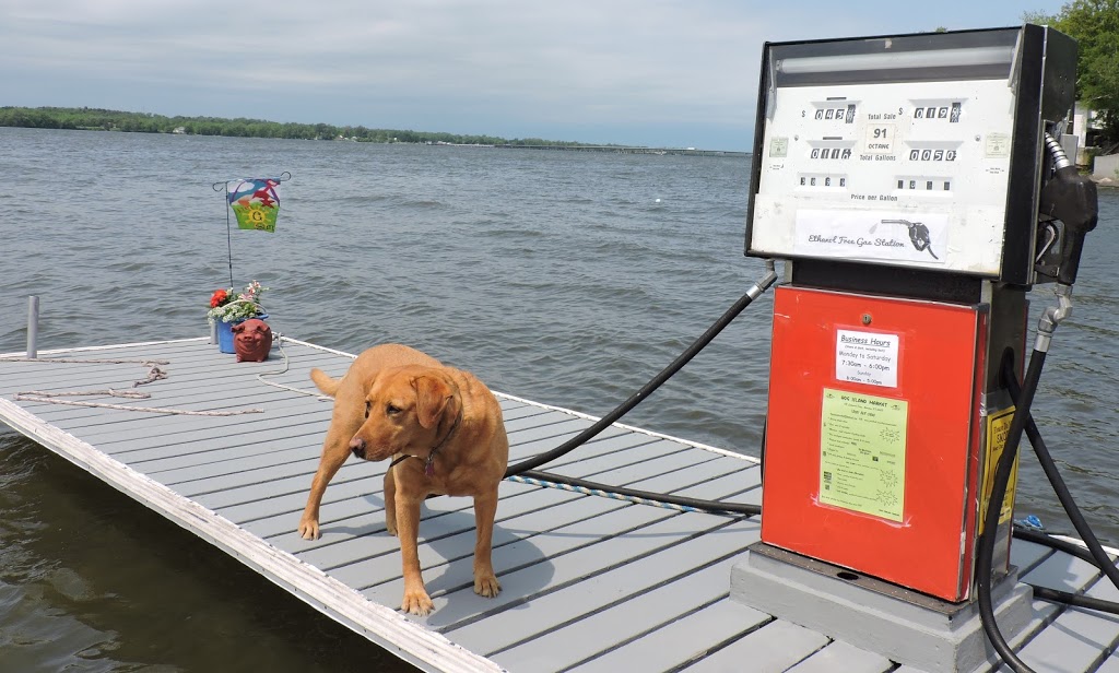 Hog Island Market | 172 Lakewood Dr, Swanton, VT 05488, USA | Phone: (802) 868-5865